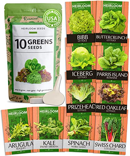 Heirloom Lettuce Seeds for Indoor Gardening - 10 Varieties