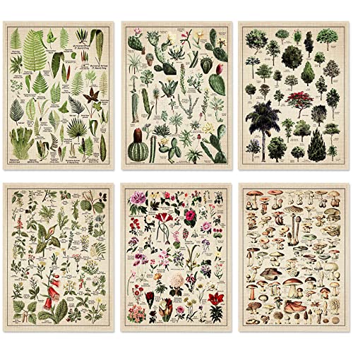 Vintage Botanical Prints for Wall Decoration