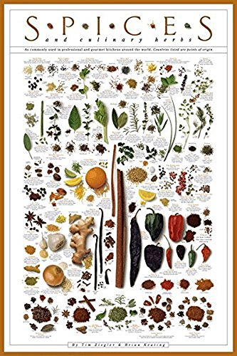 Culinary Herbs and Spices Poster Print