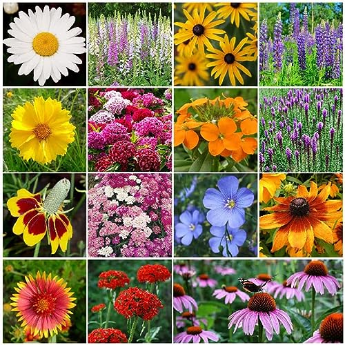 Perennial Wildflower Mixed Seeds