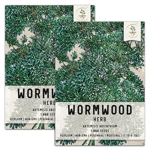 Seed Needs Wormwood Herb Seeds