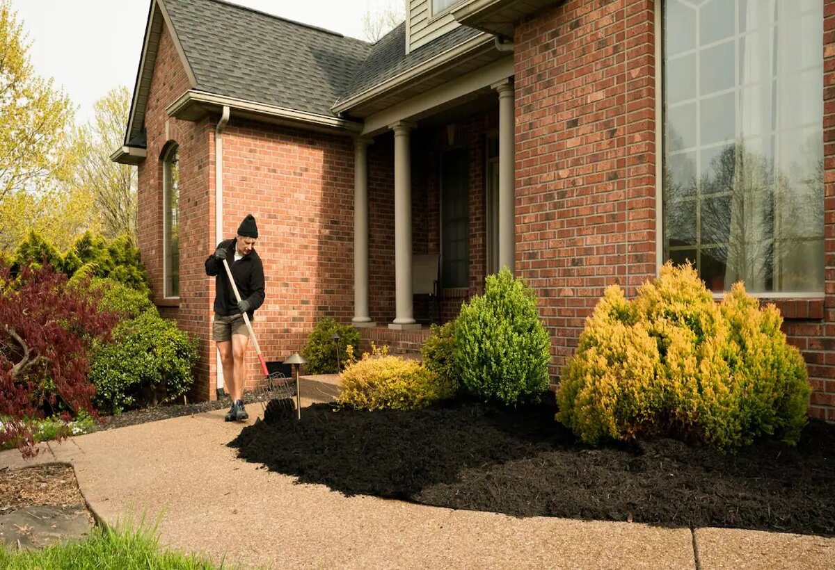 8 Amazing Low Maintenance Landscaping for 2024