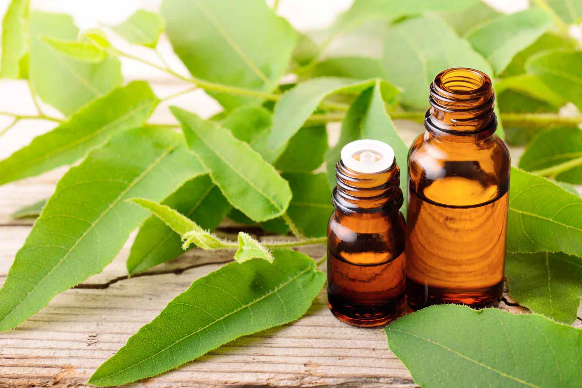 8 Best Oil Of Lemon Eucalyptus Insect Repellent for 2024