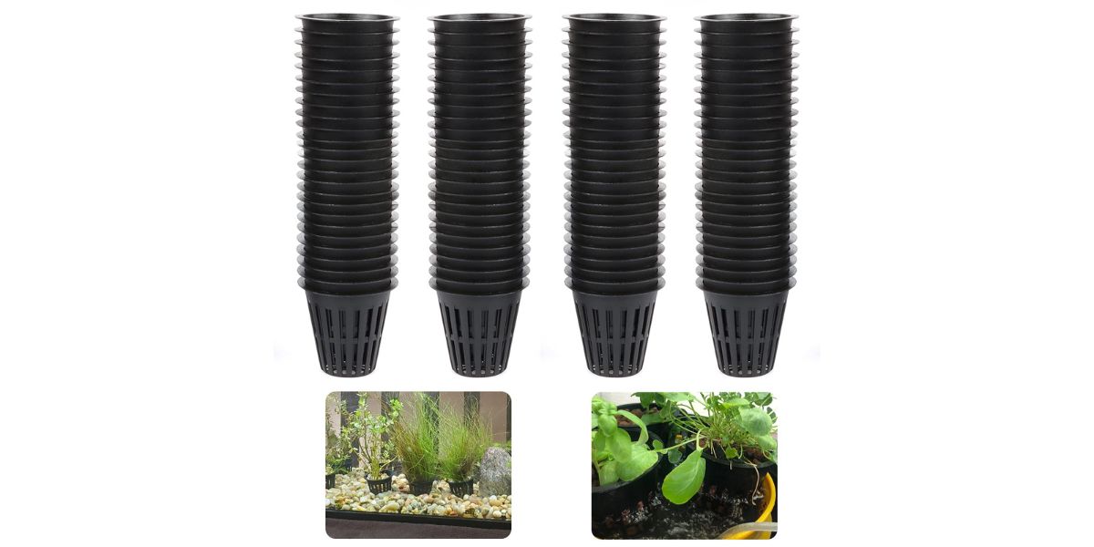 8 Incredible Hydroponics Cups for 2024