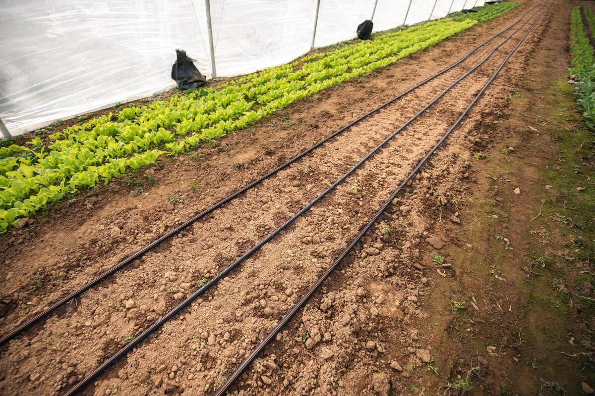8 Superior Drip Irrigation Systems for 2023