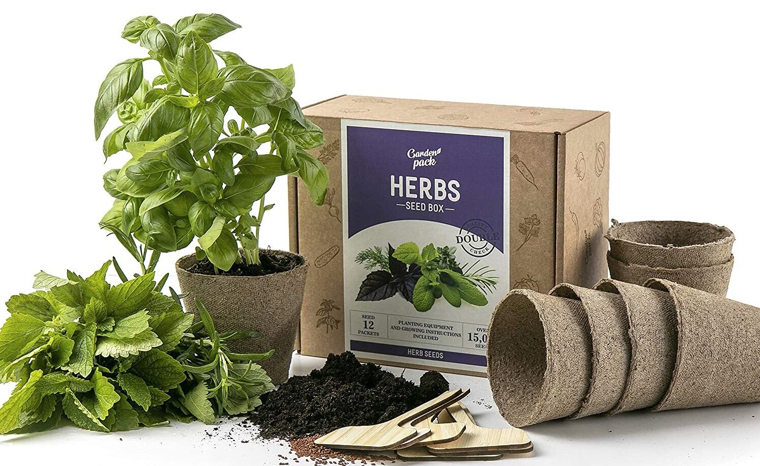 9 Best Herb Seed Kit for 2024