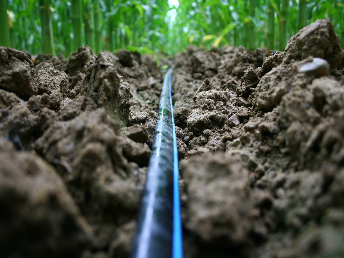 9 Best Toro Drip Irrigation for 2023