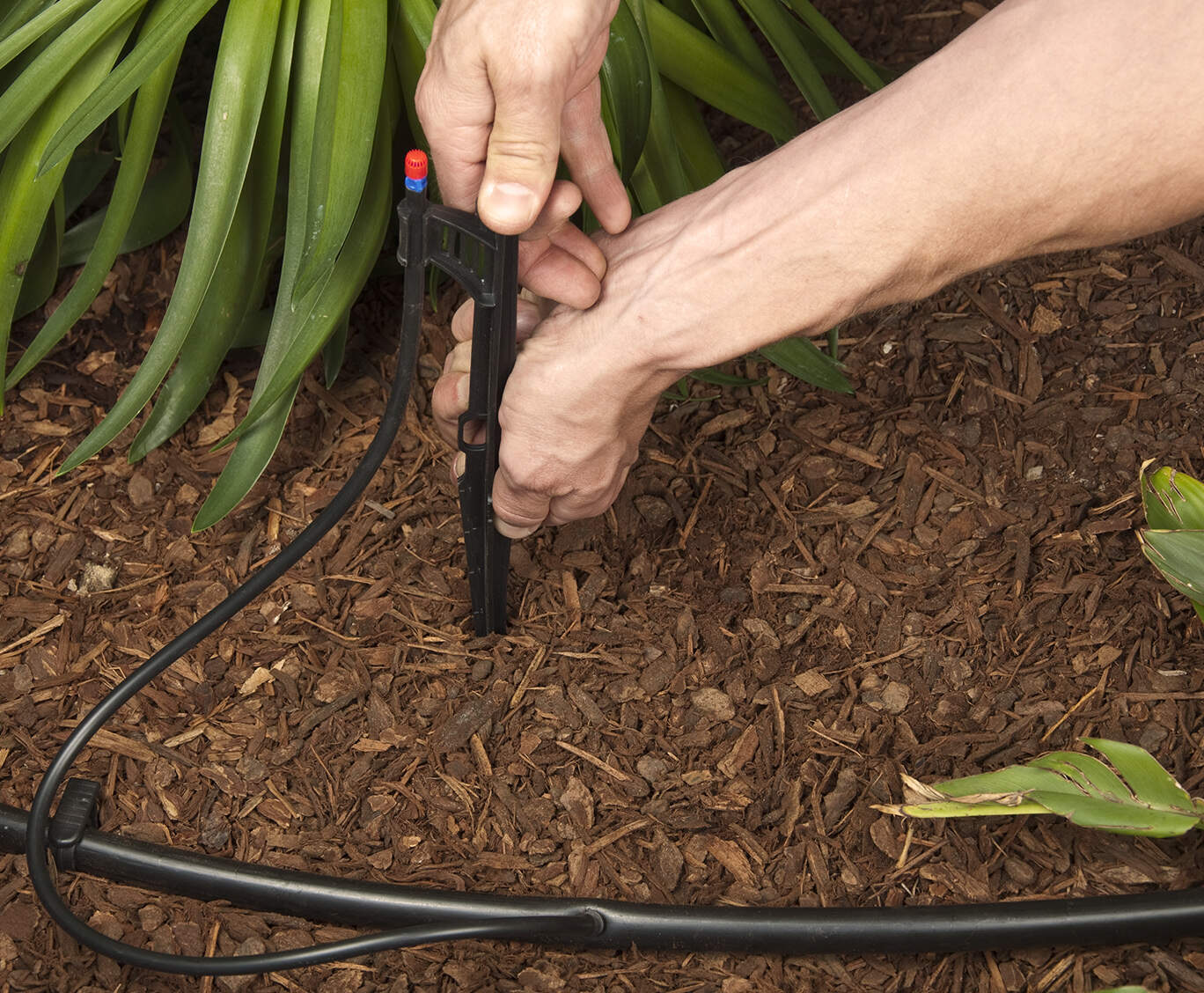 9 Incredible Dig Drip Irrigation Kit for 2024