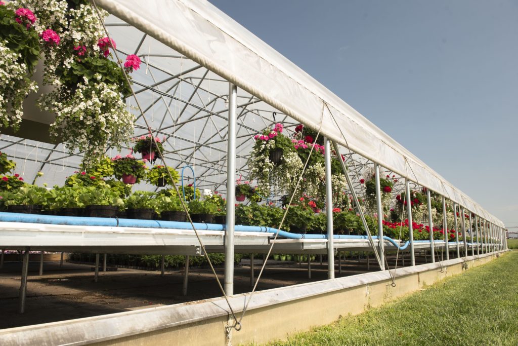 How Big Should A Greenhouse Be
