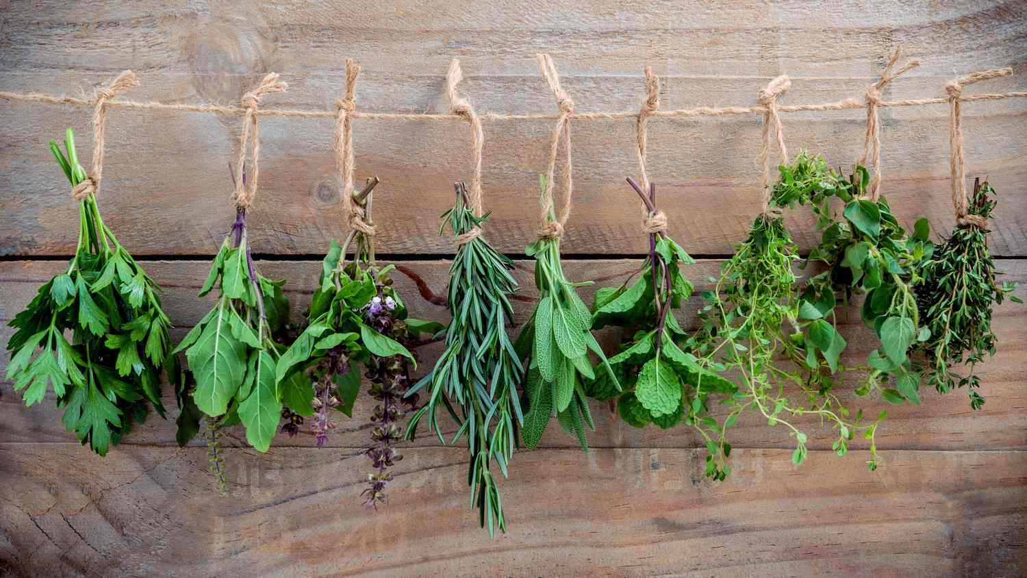How Do You Dry Herbs