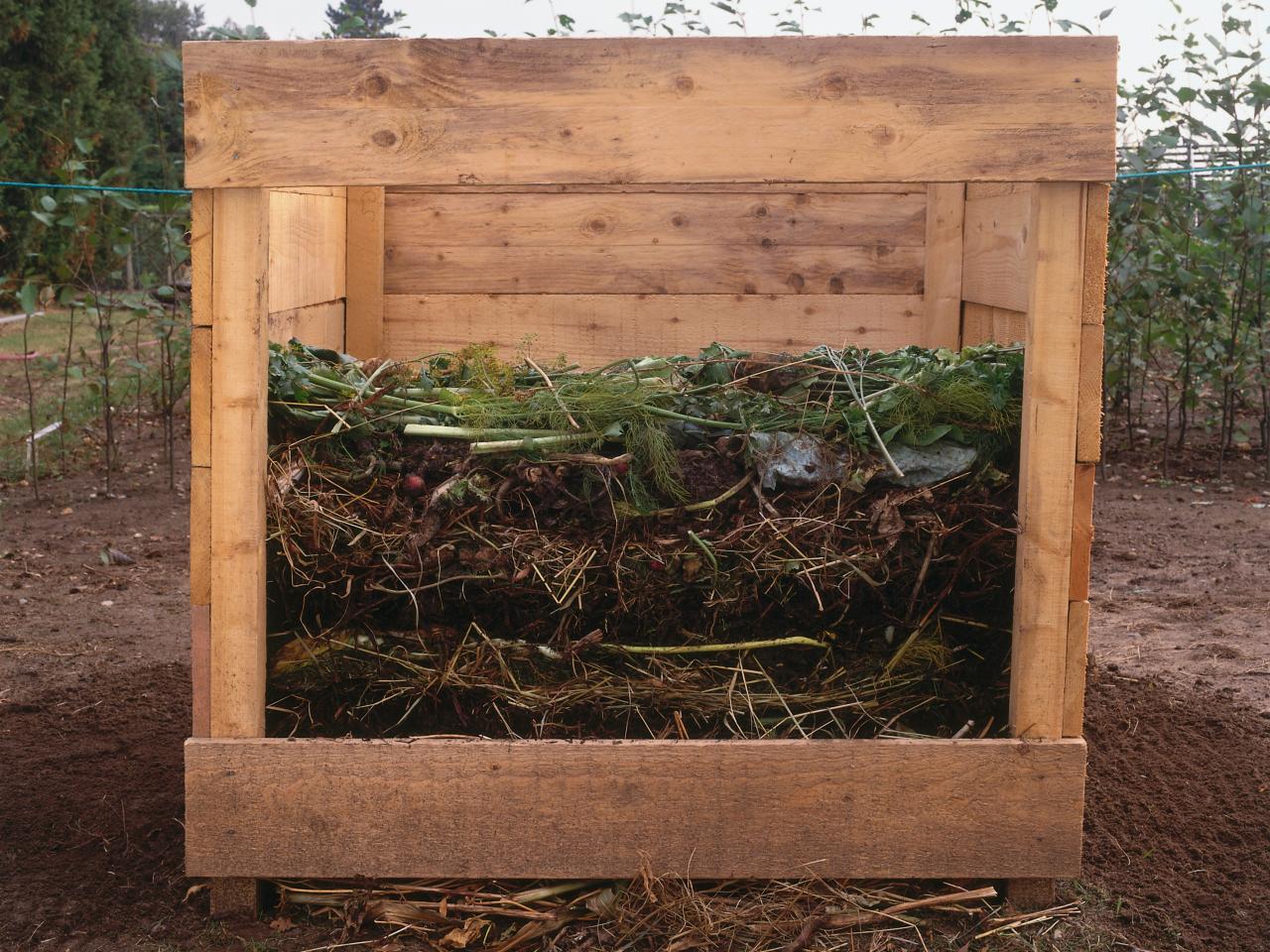 How Do You Make Your Own Compost