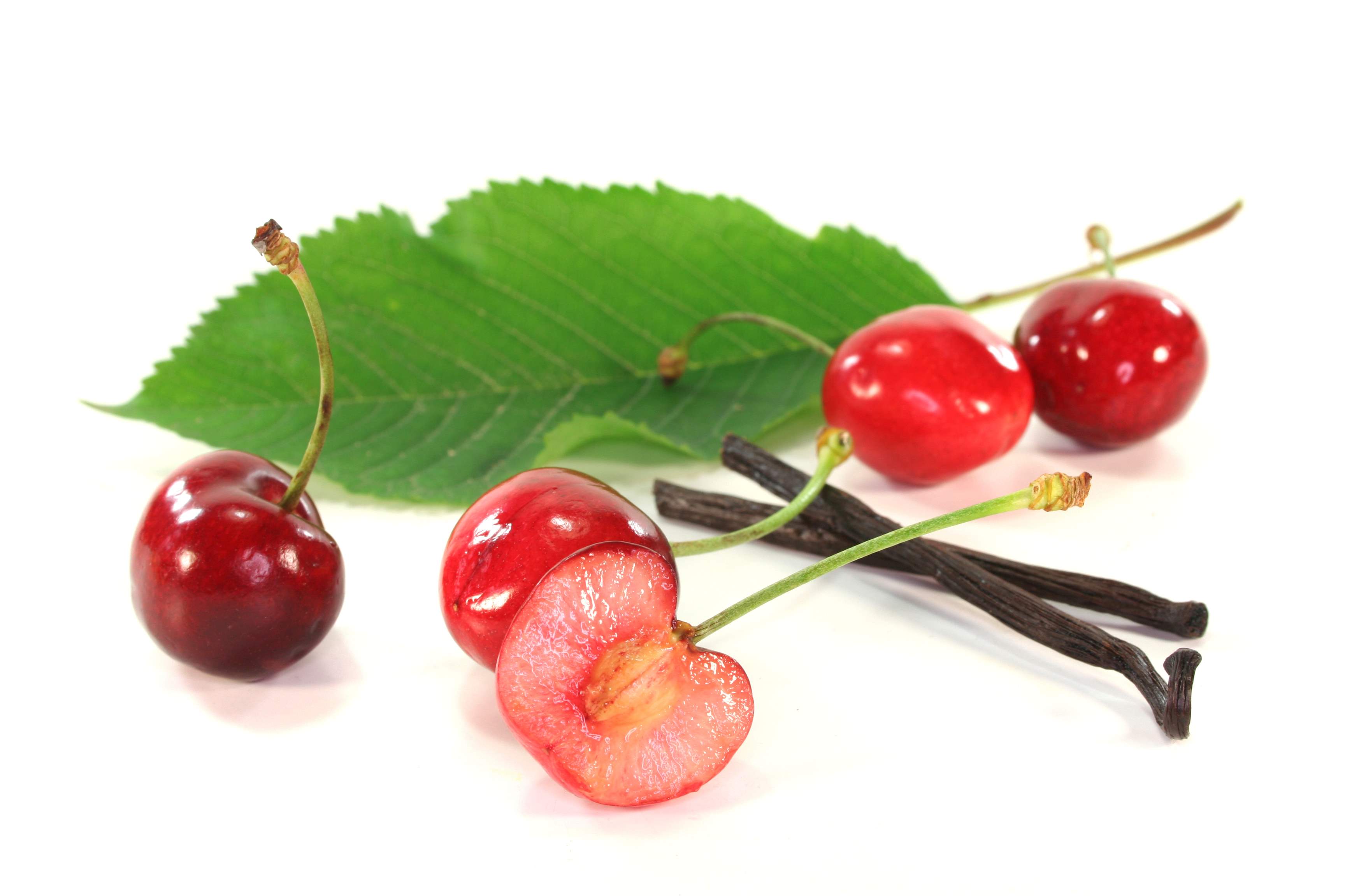 How Do You Prepare A Cherry Seed For Planting?