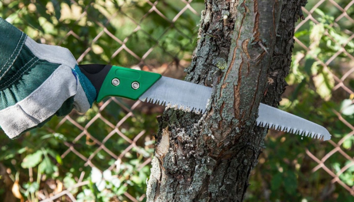 How Do You Sharpen A Pruning Saw