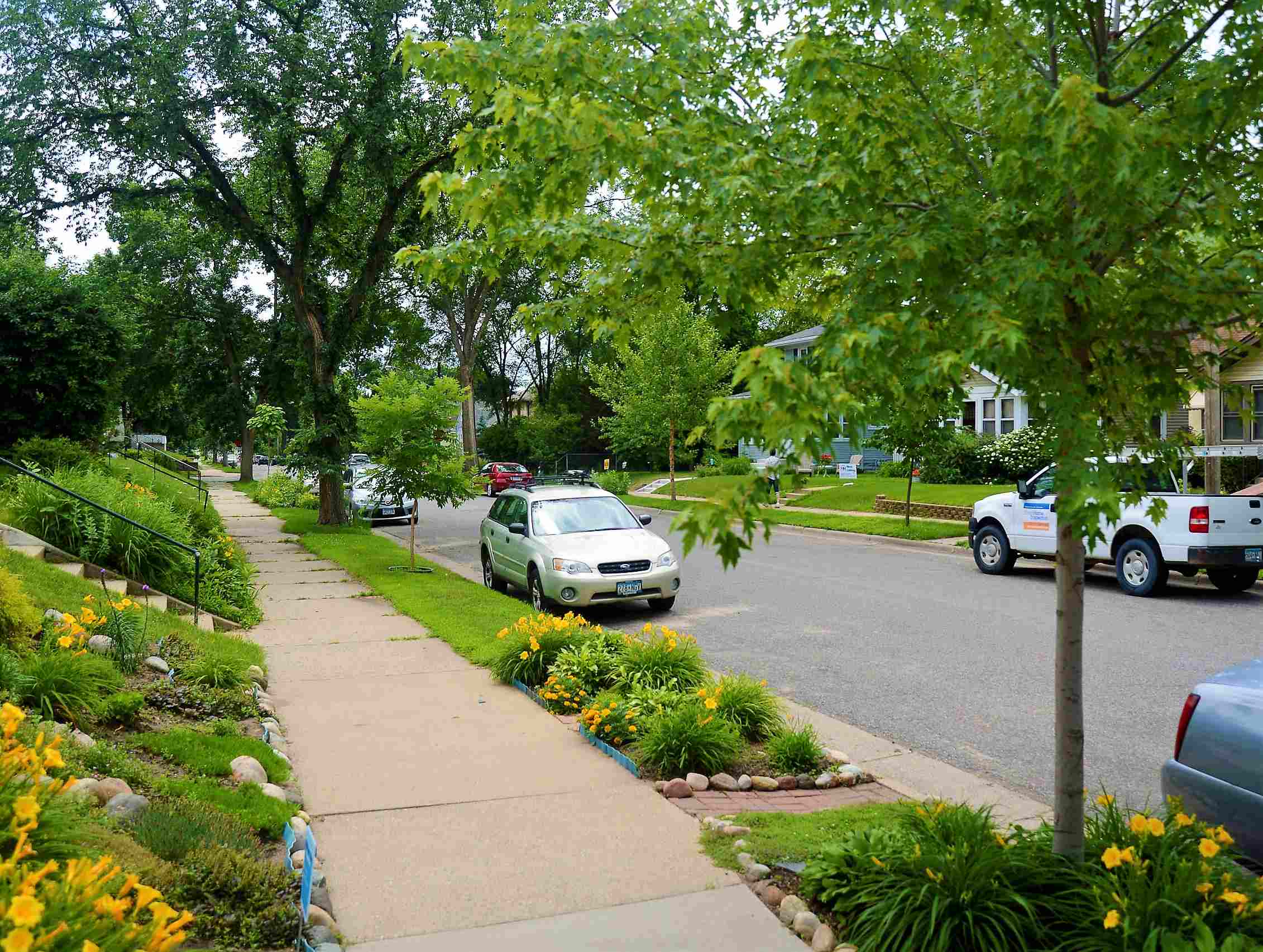 How Does Planting Trees In Urban Areas Improve Air Quality And Reduce Energy Use?