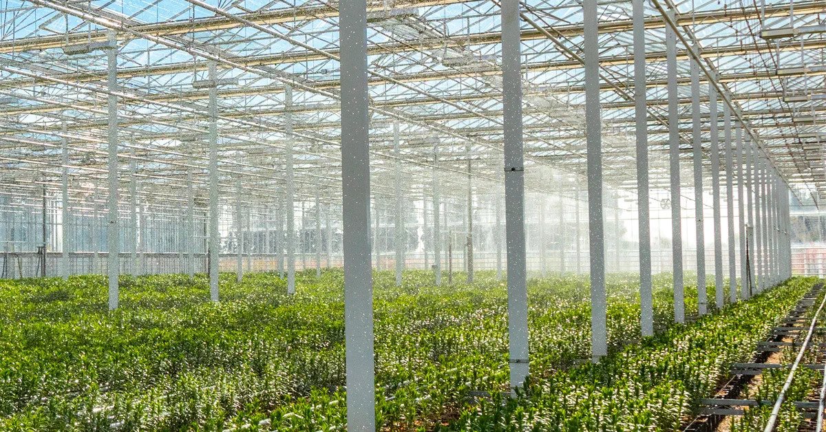How Hard Is It To Insurance A Commercial Greenhouse