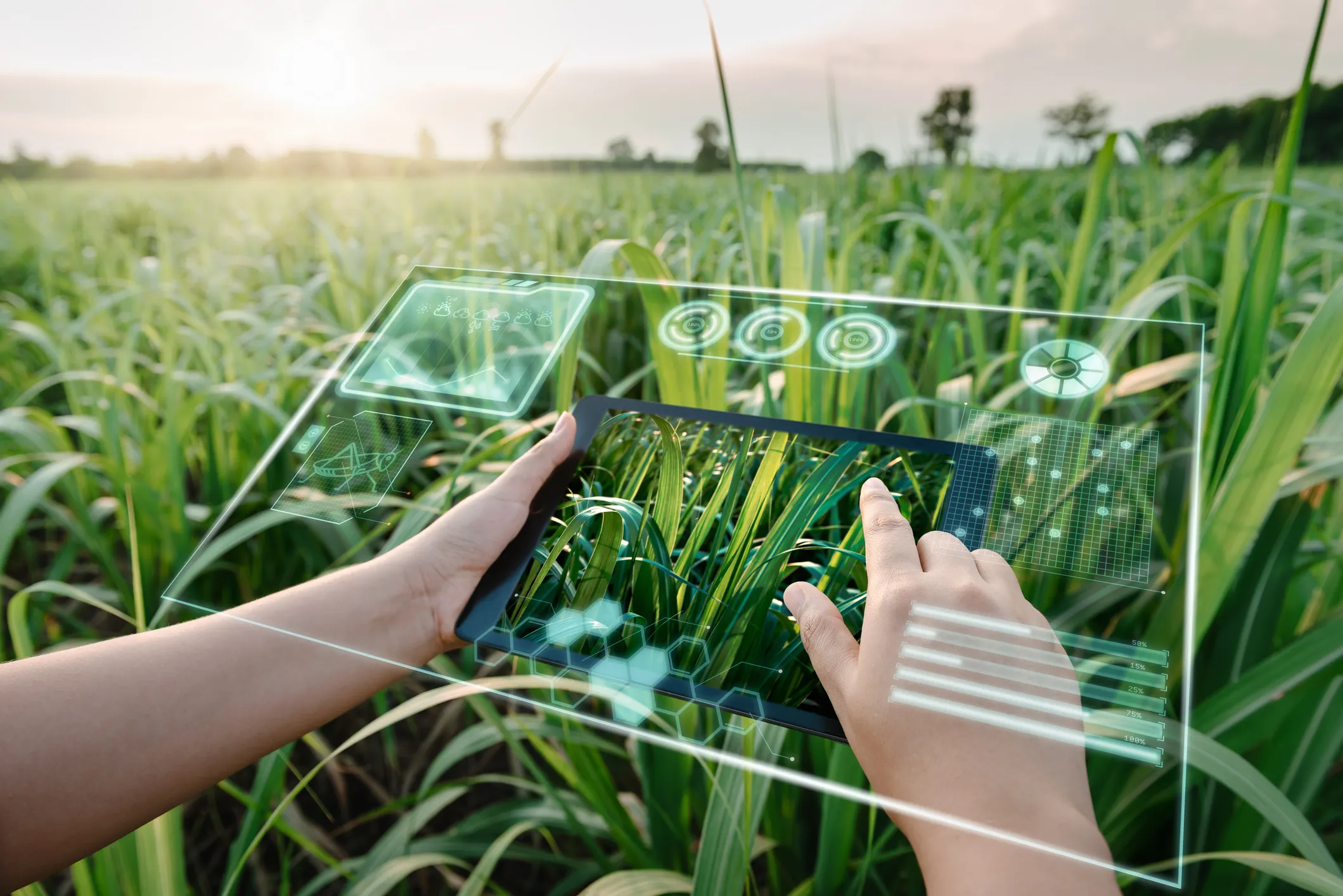 How Helpful Is Predictive Planting To Individual Farmers And The Agricultural Industry