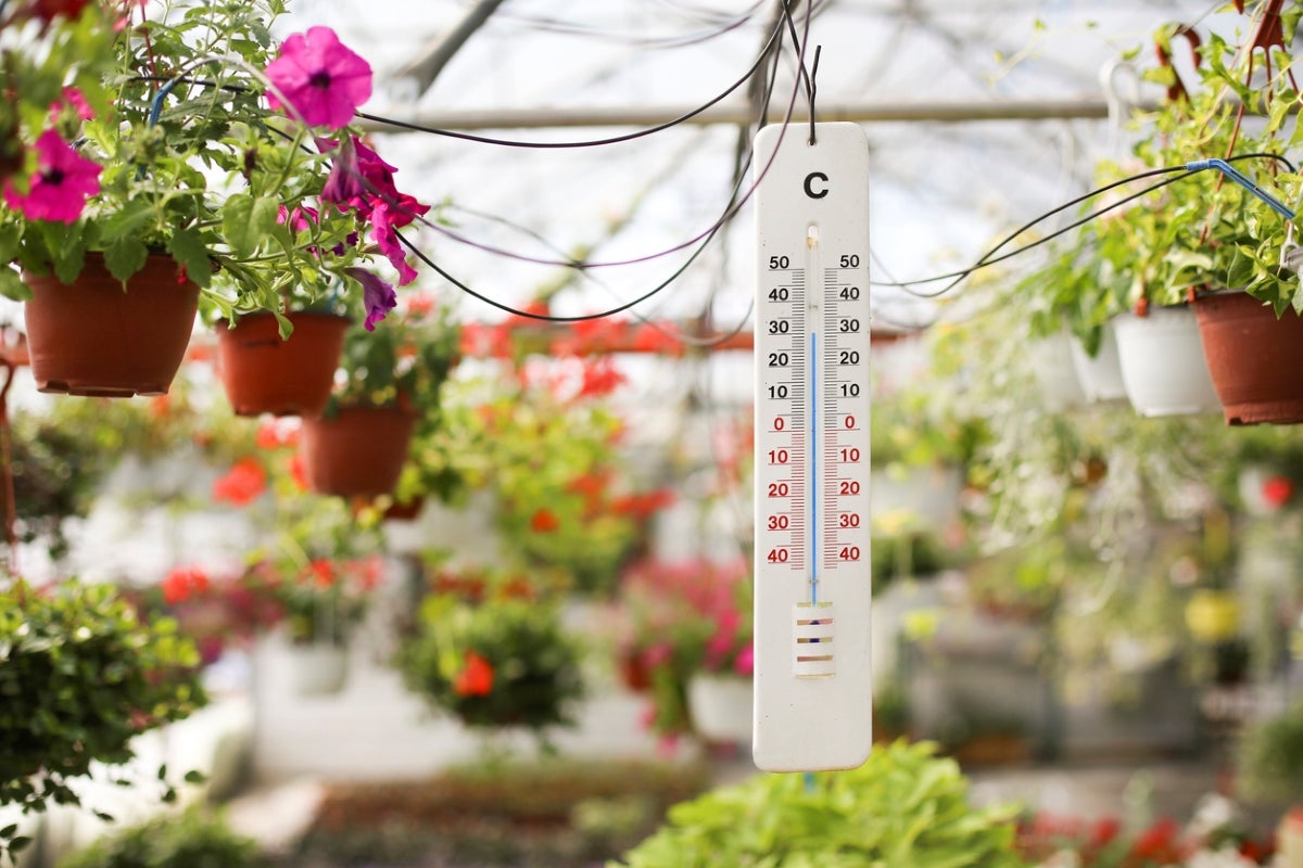 How Hot Should A Greenhouse Be