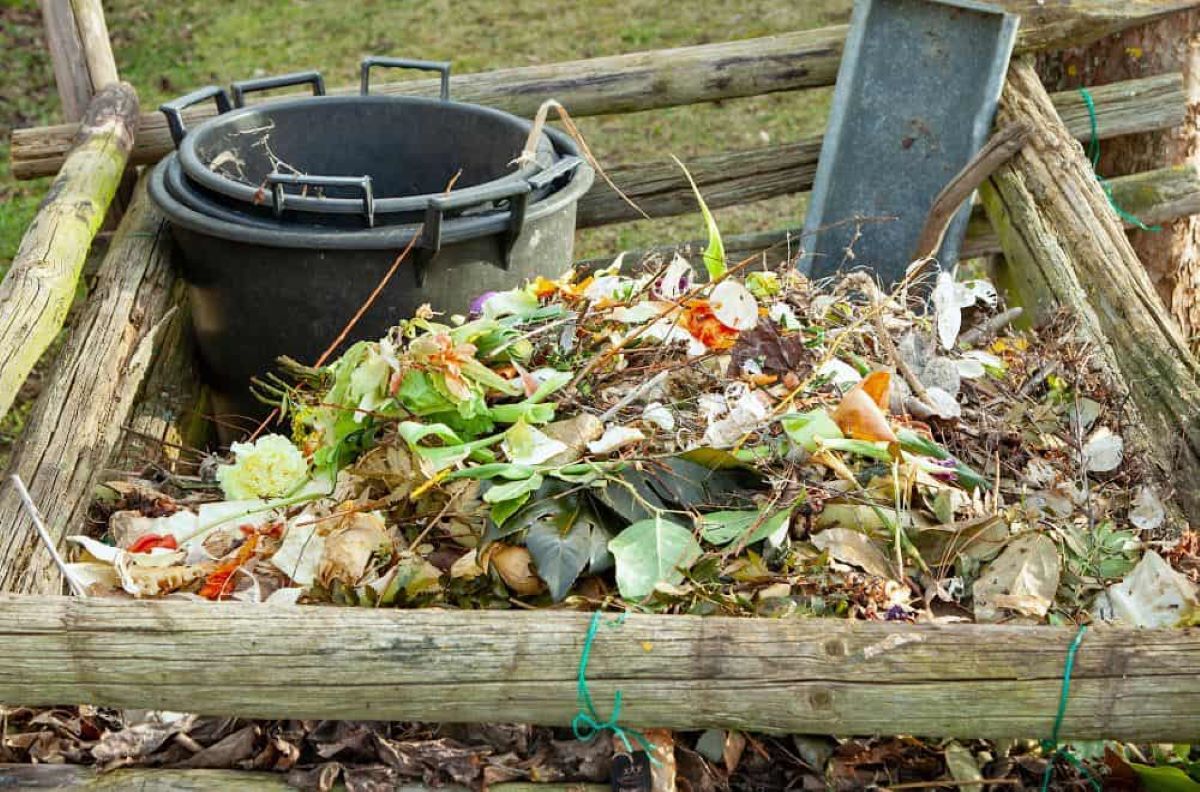 How Long Does It Take To Compost