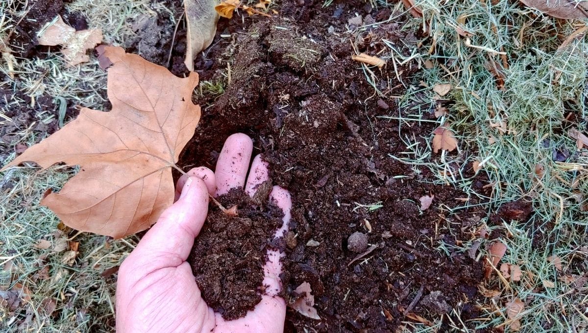 How Long Does It Take To Compost Leaves