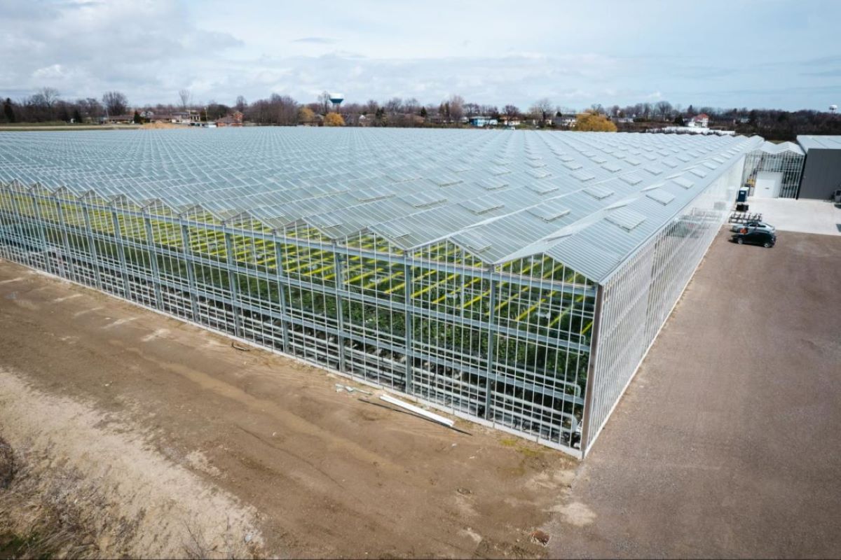 How Much A Greenhouse Cost