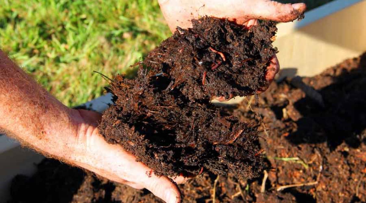 How Much Compost Is Too Much