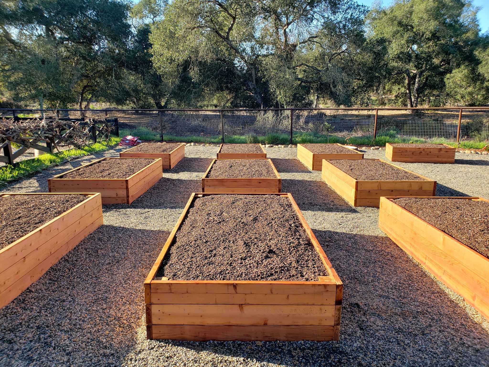 How Much Compost To Add To Raised Garden Bed