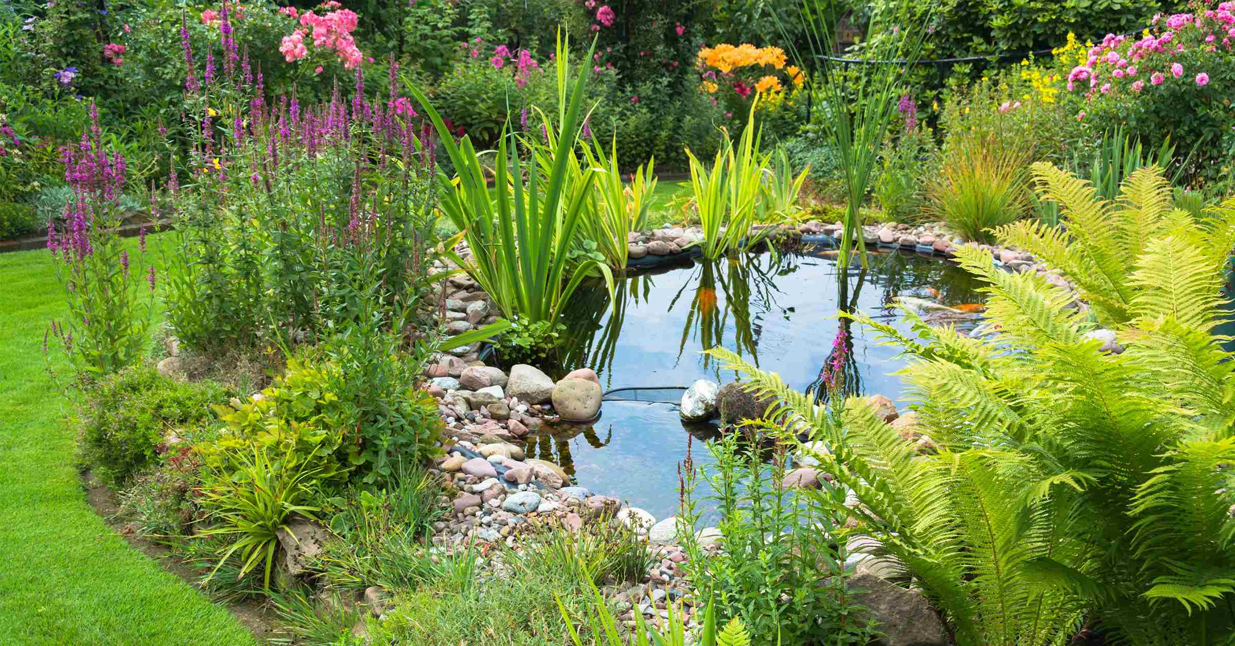 How Much Does It Cost To Build A Pond In Your Backyard