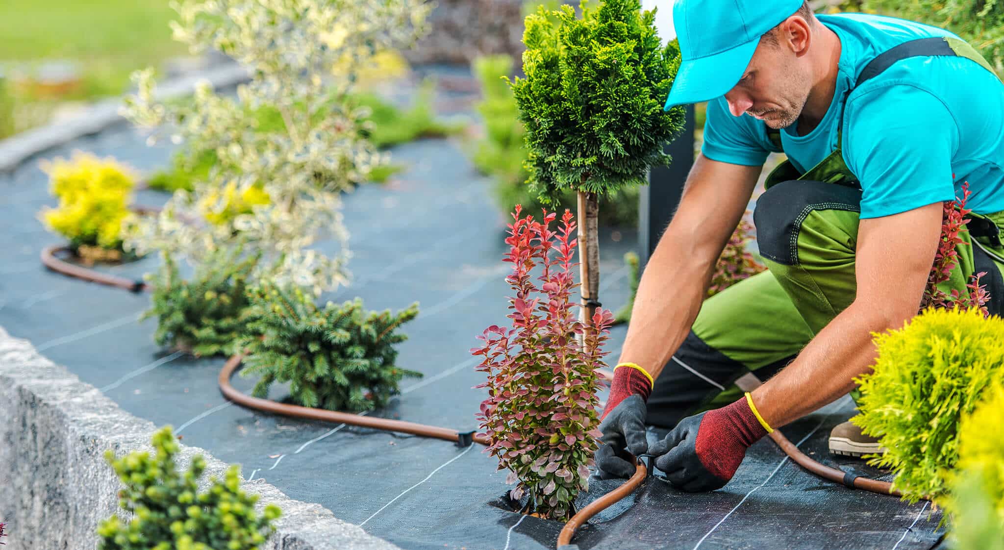 How Much Money Do You Need To Start A Landscaping Business