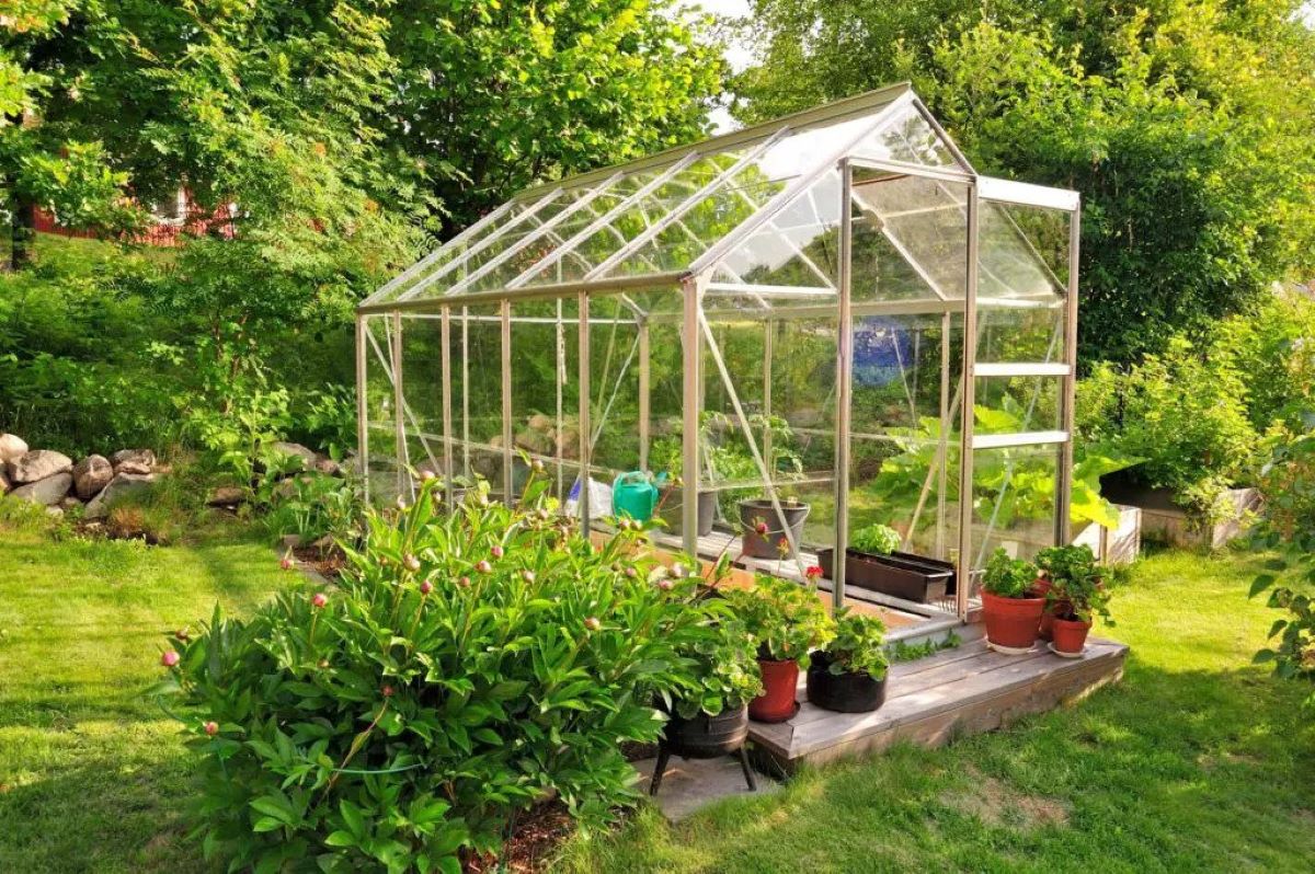 How Much Sunlight Does A Greenhouse Need