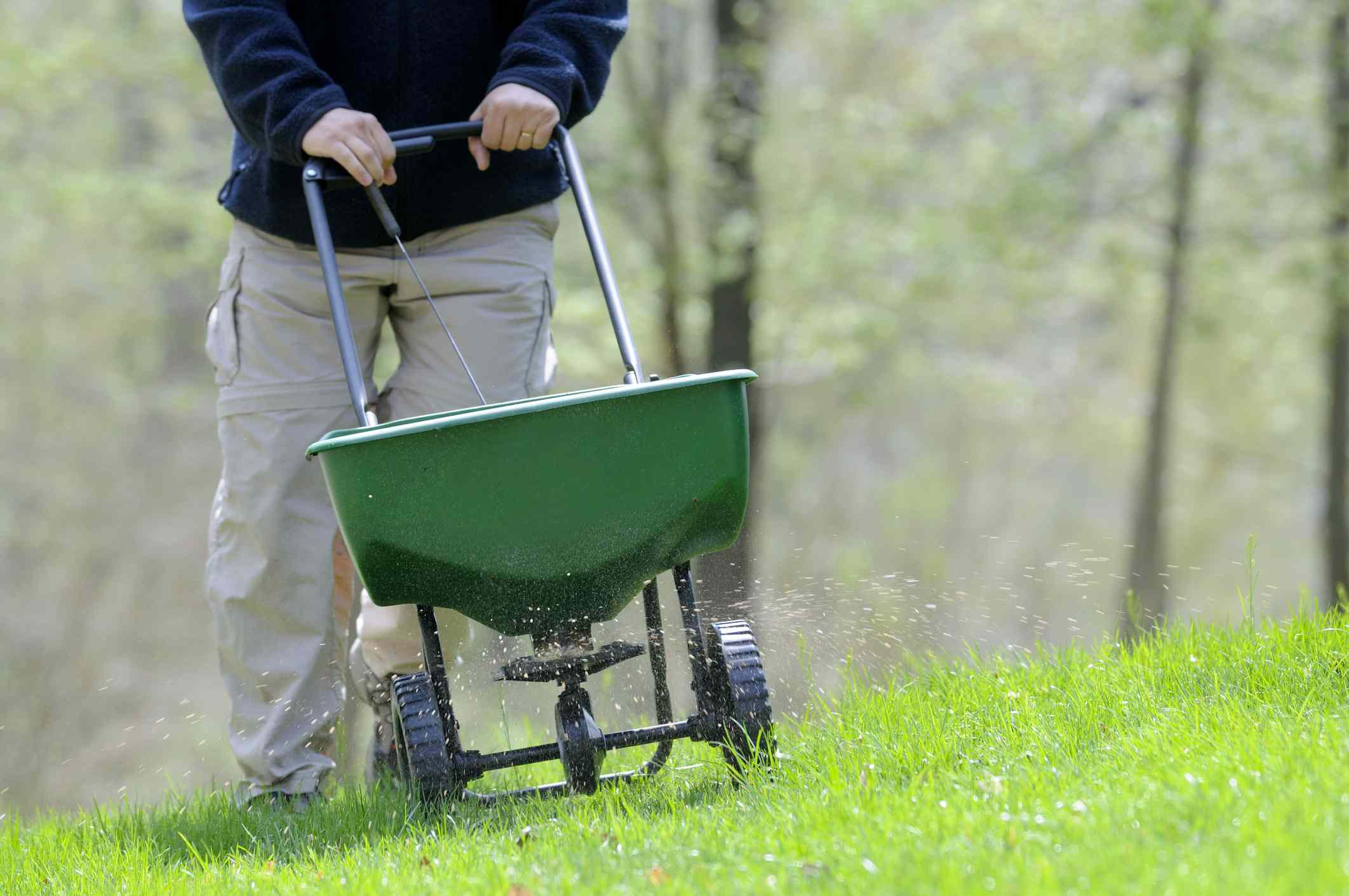 How Often Can You Apply Fertilizer To Your Lawn