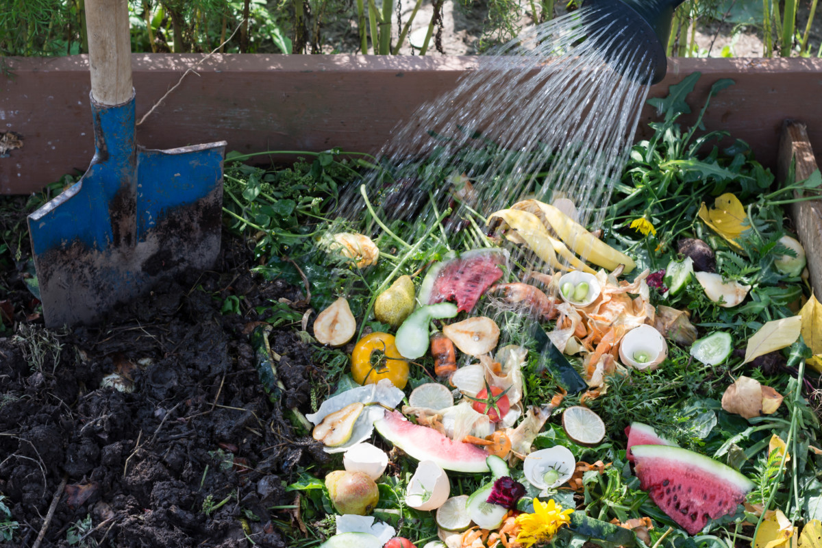 How Often To Water Compost