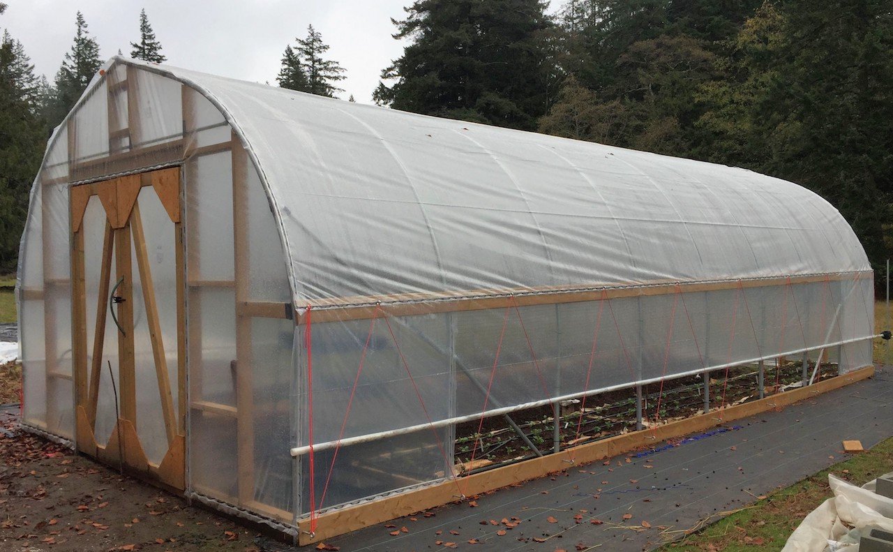 How To Build A High Tunnel Greenhouse