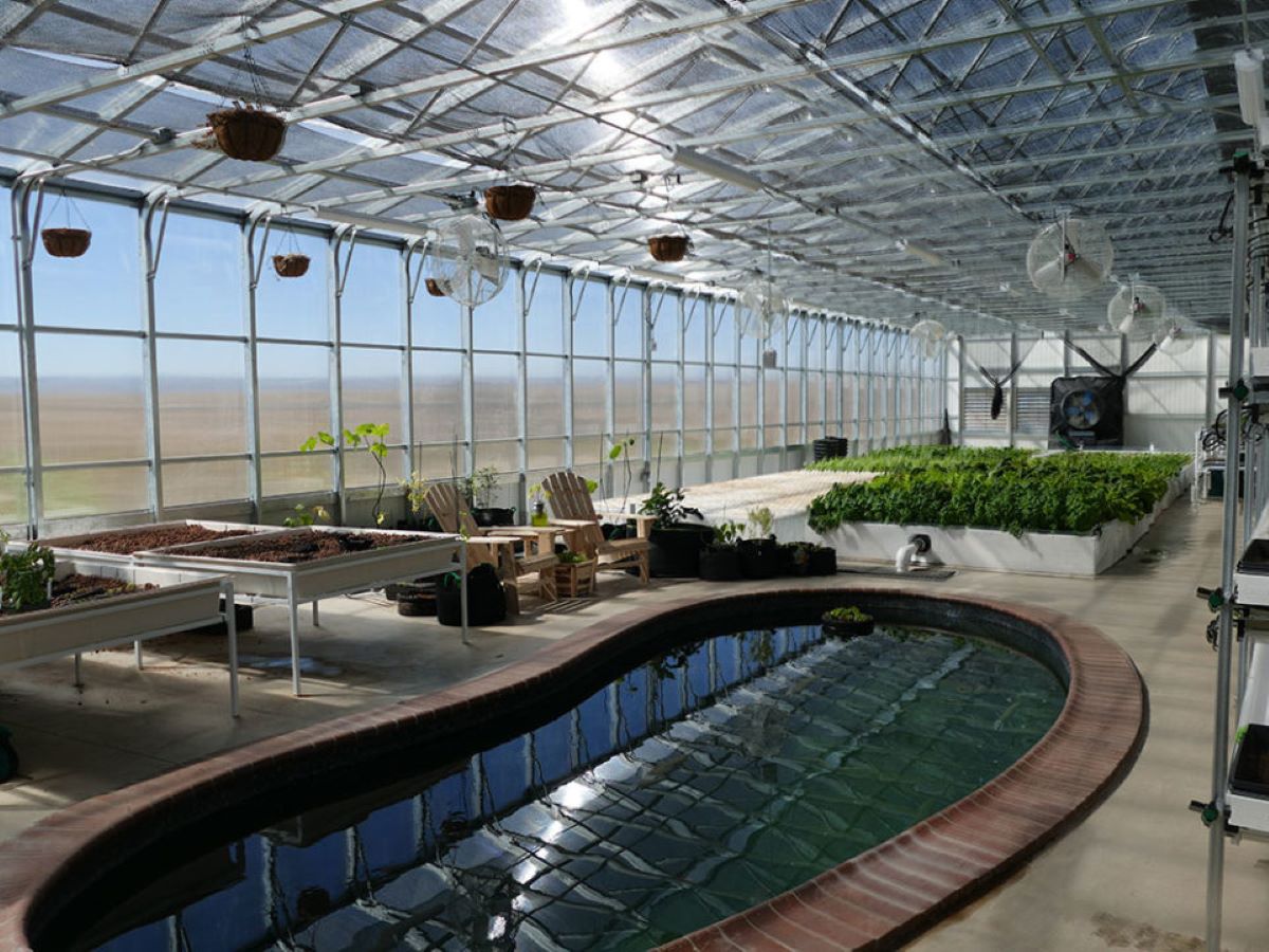 How To Build An Aquaponics Greenhouse