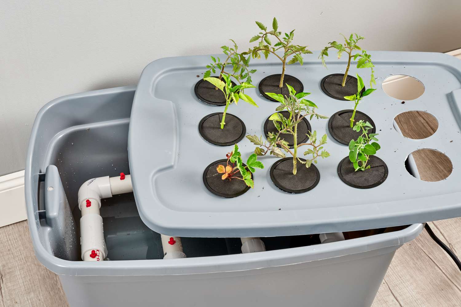How To Build Hydroponics System