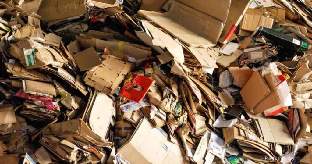 How To Compost Cardboard