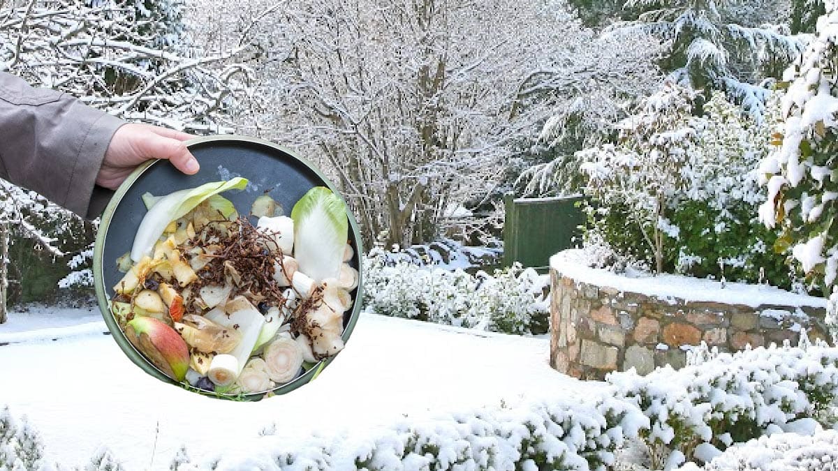 How To Compost In Winter