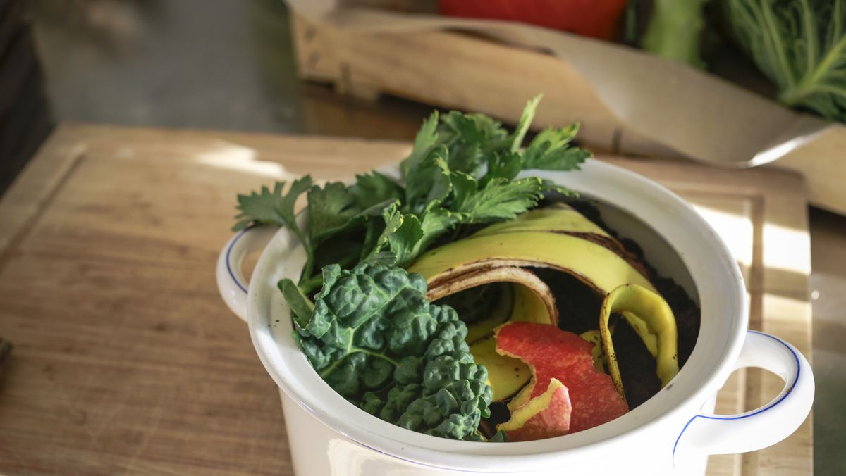 How To Compost Indoors Without Worms