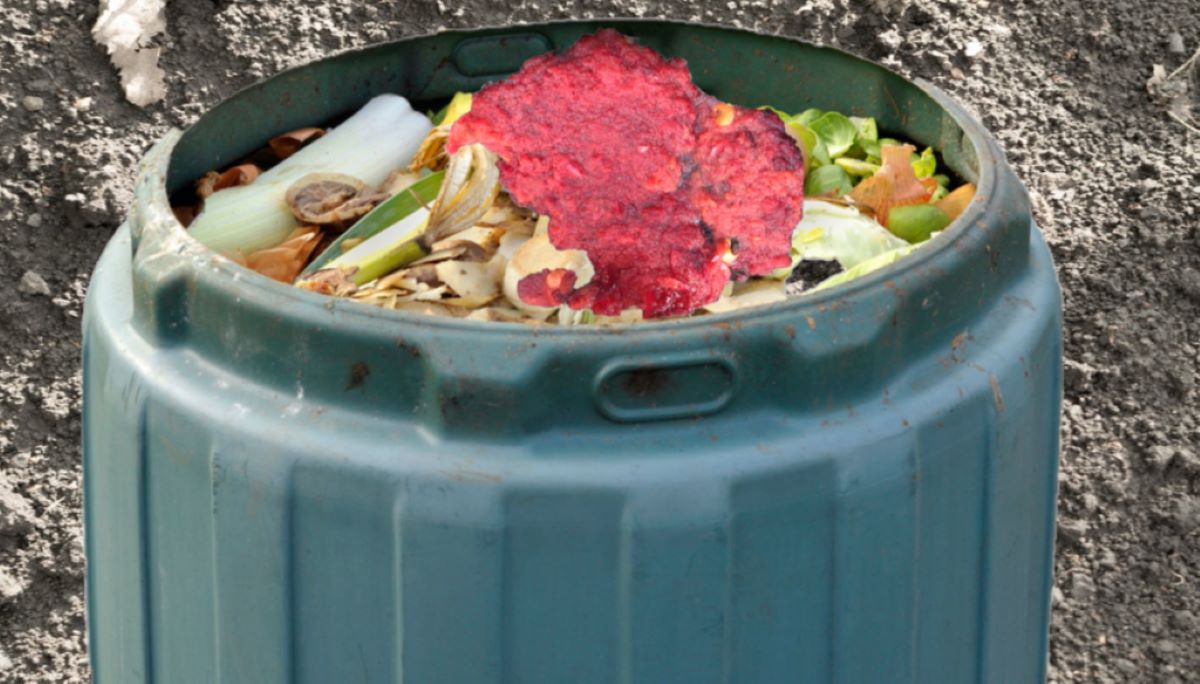 How To Compost Juice Pulp