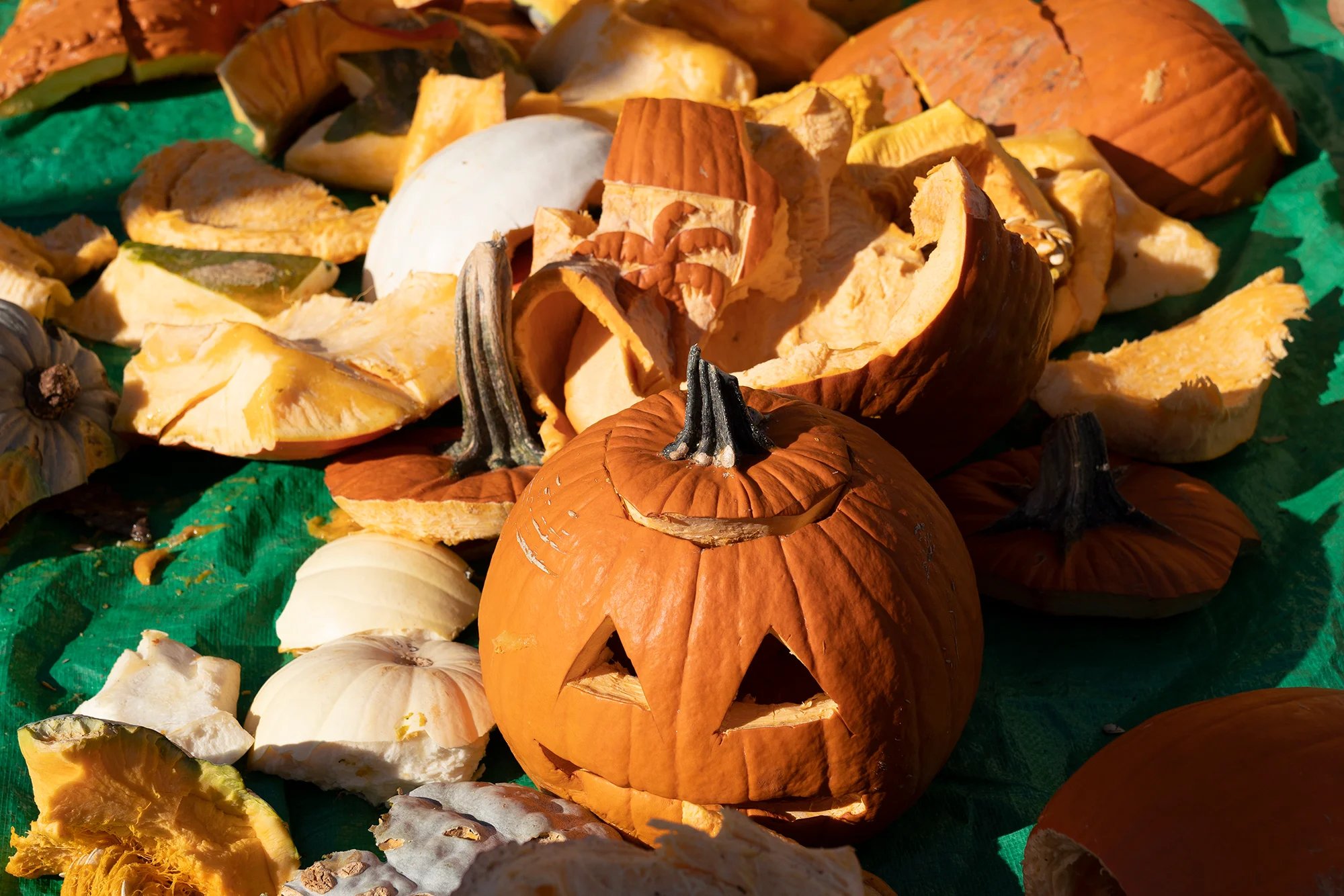 How To Compost Pumpkin