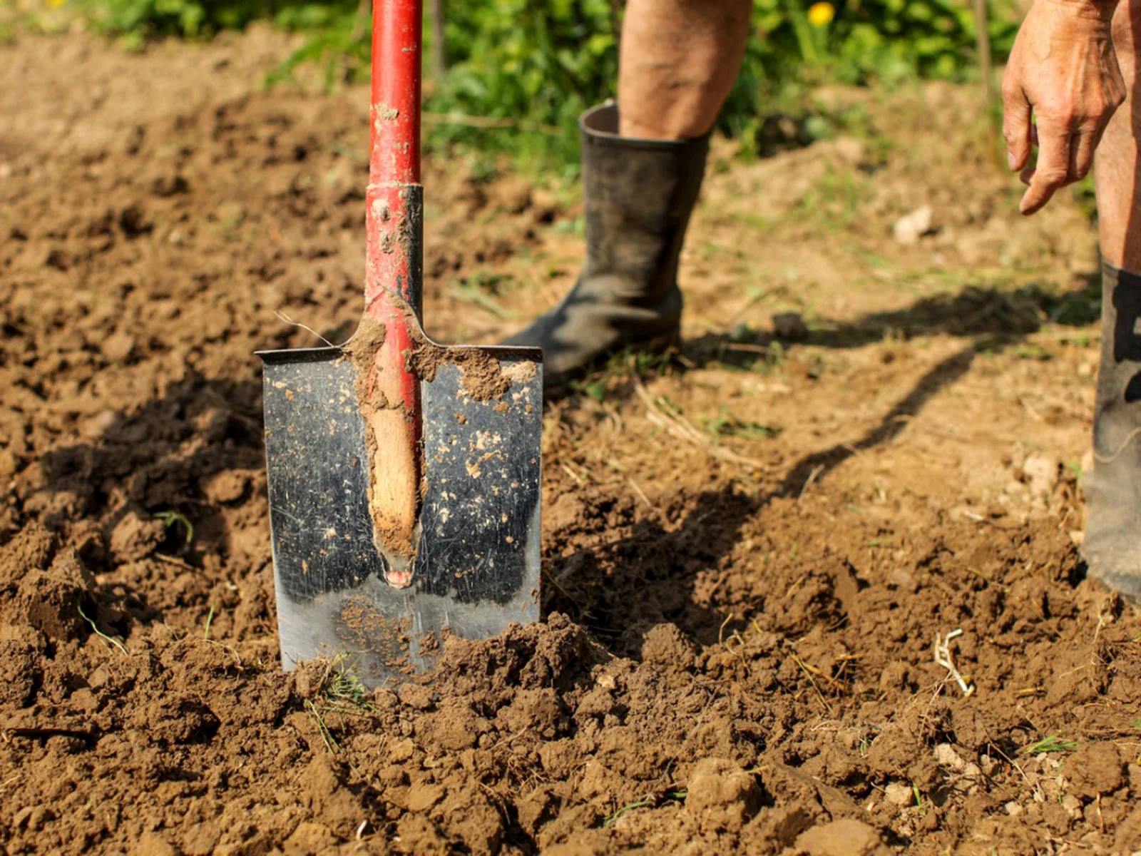 How To Condition Clay Soil For Planting