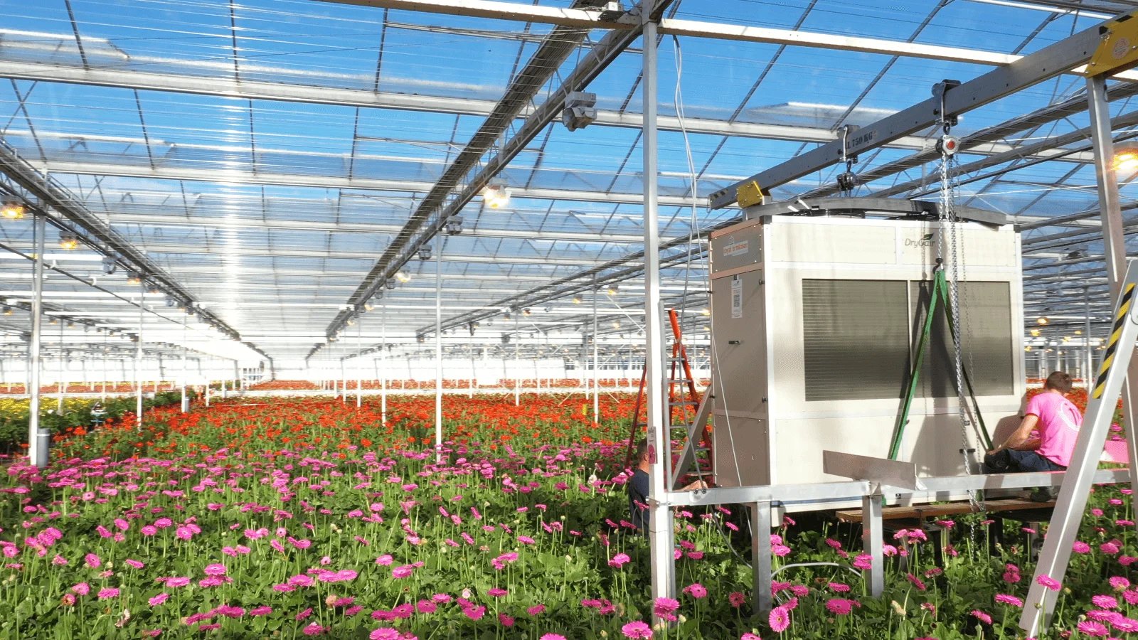 How To Control Humidity In Greenhouse