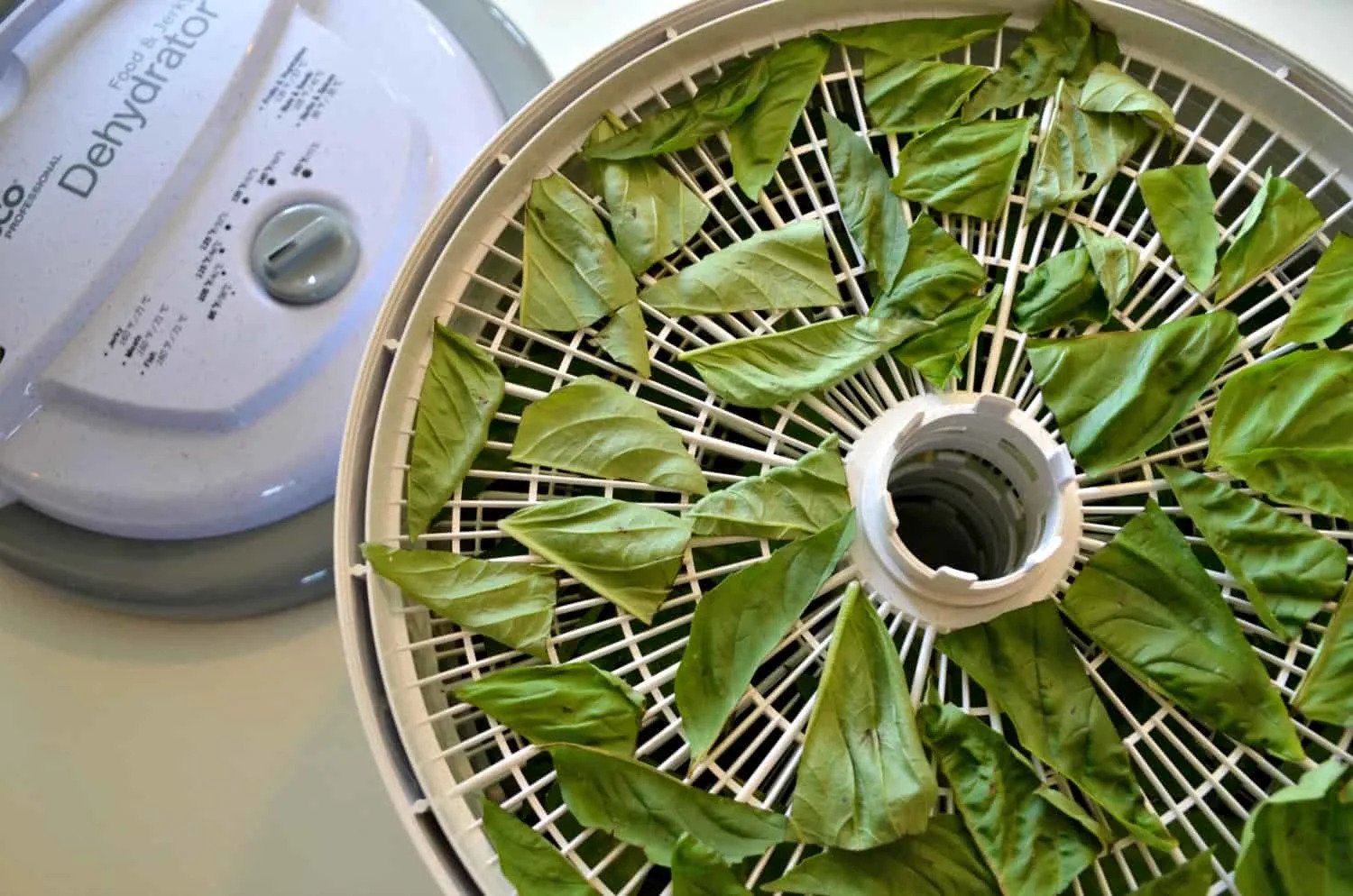 How To Dehydrate Herbs In A Dehydrator