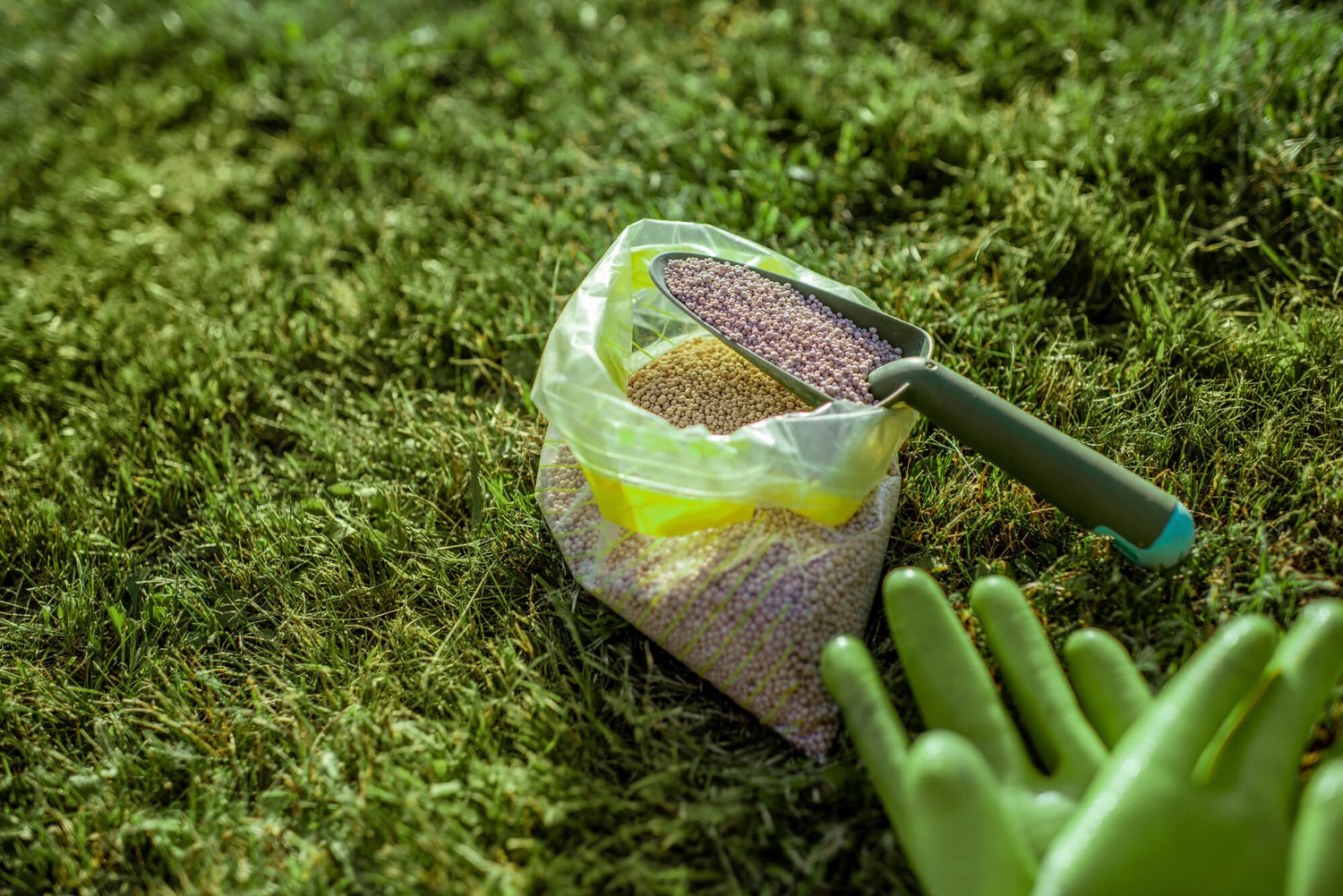 How To Dispose Of Old Lawn Fertilizer