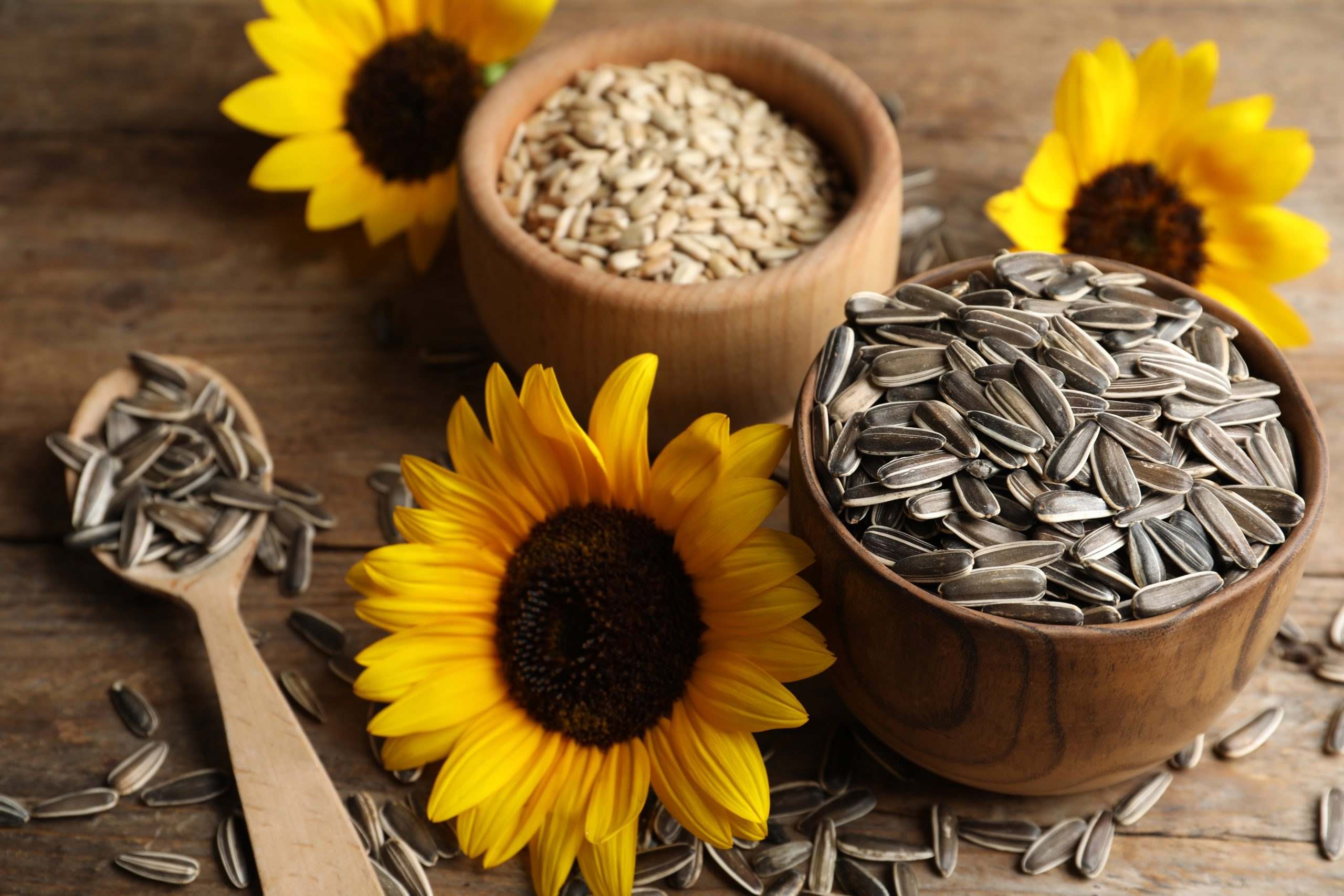 How To Dry Sunflower Seeds For Planting