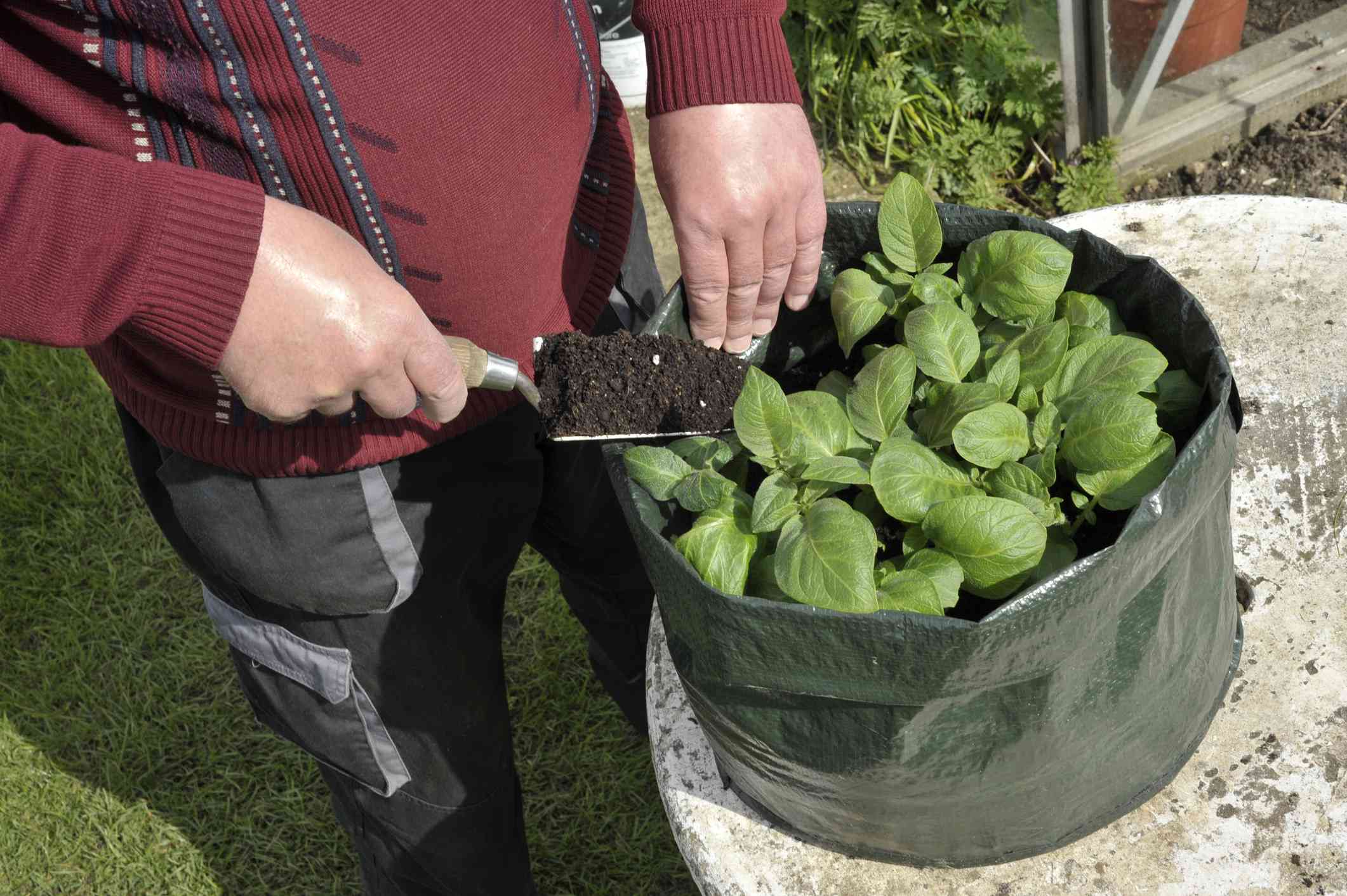 How To Fill Grow Bags For Vegetables