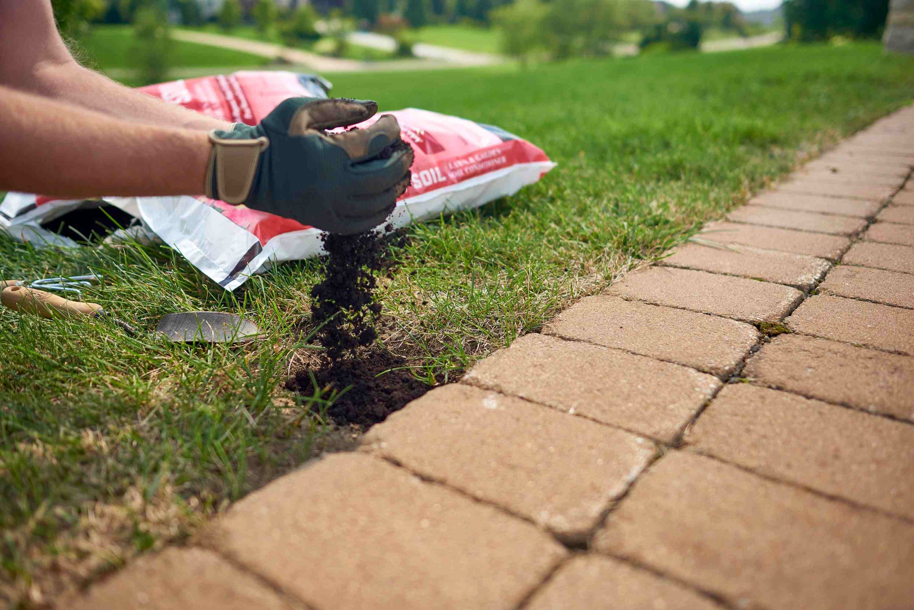 How To Fill Holes In Backyard