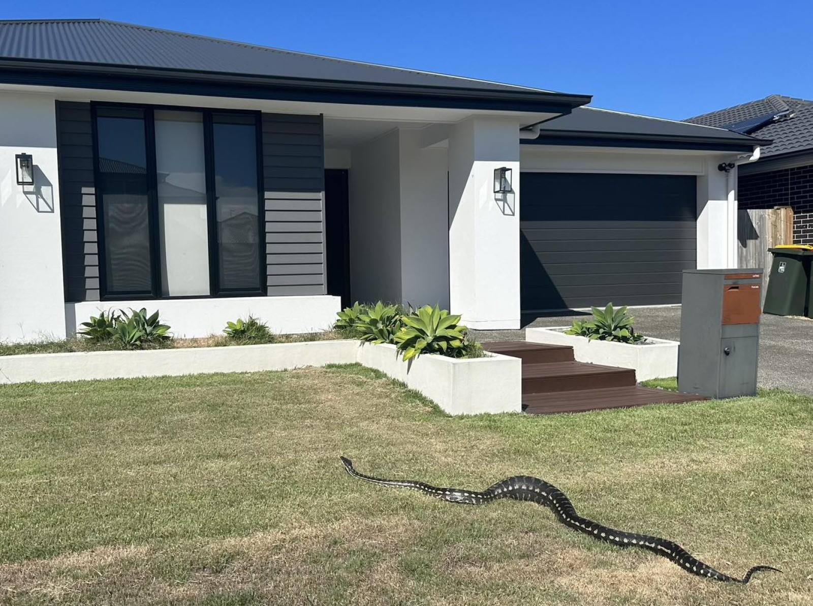 How To Find A Snake In Your Backyard