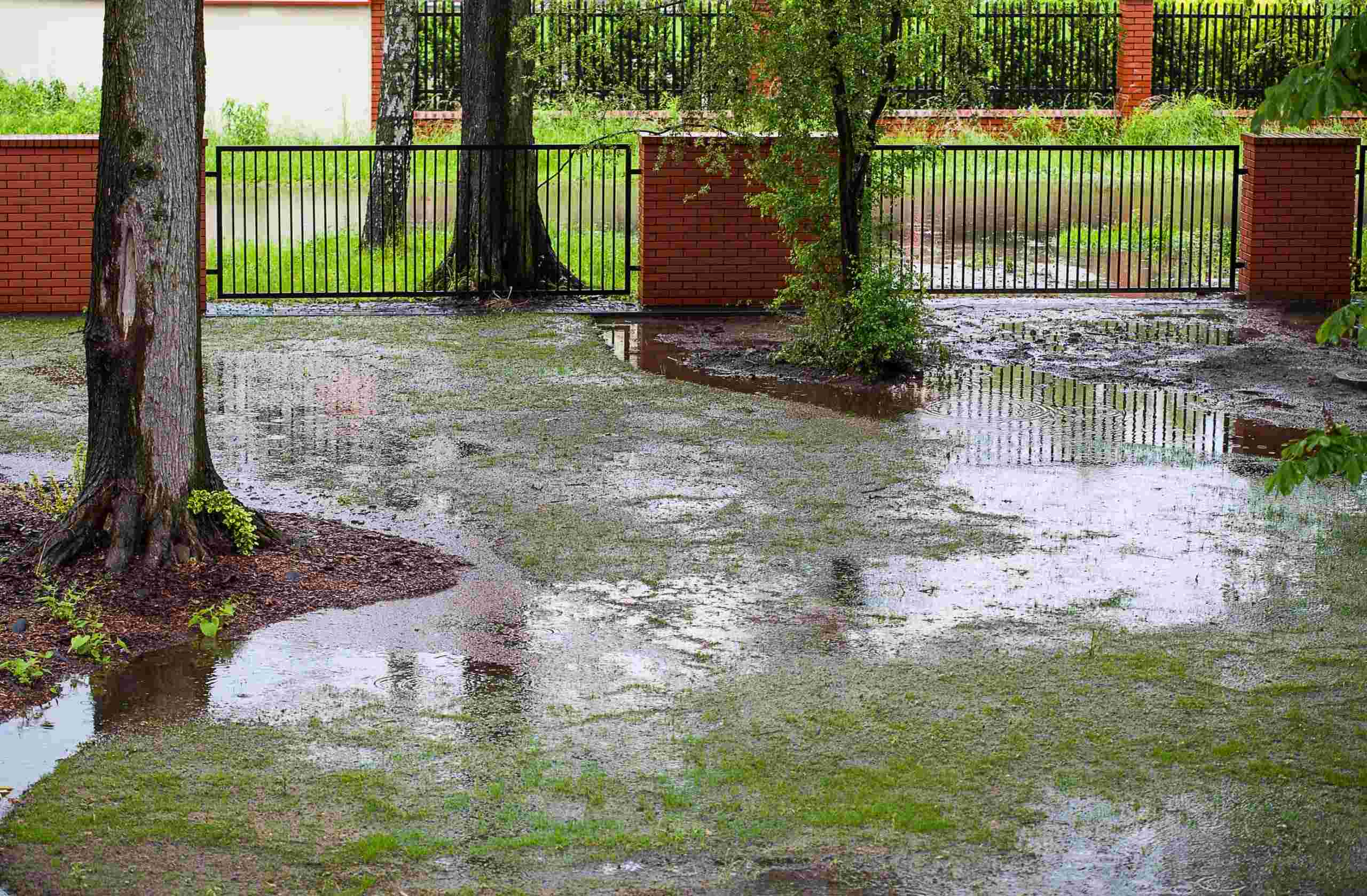 How To Fix A Wet Backyard