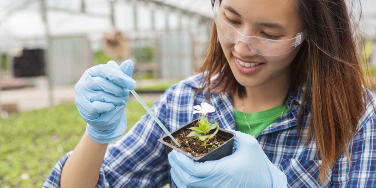 How To Get Horticulture Degree