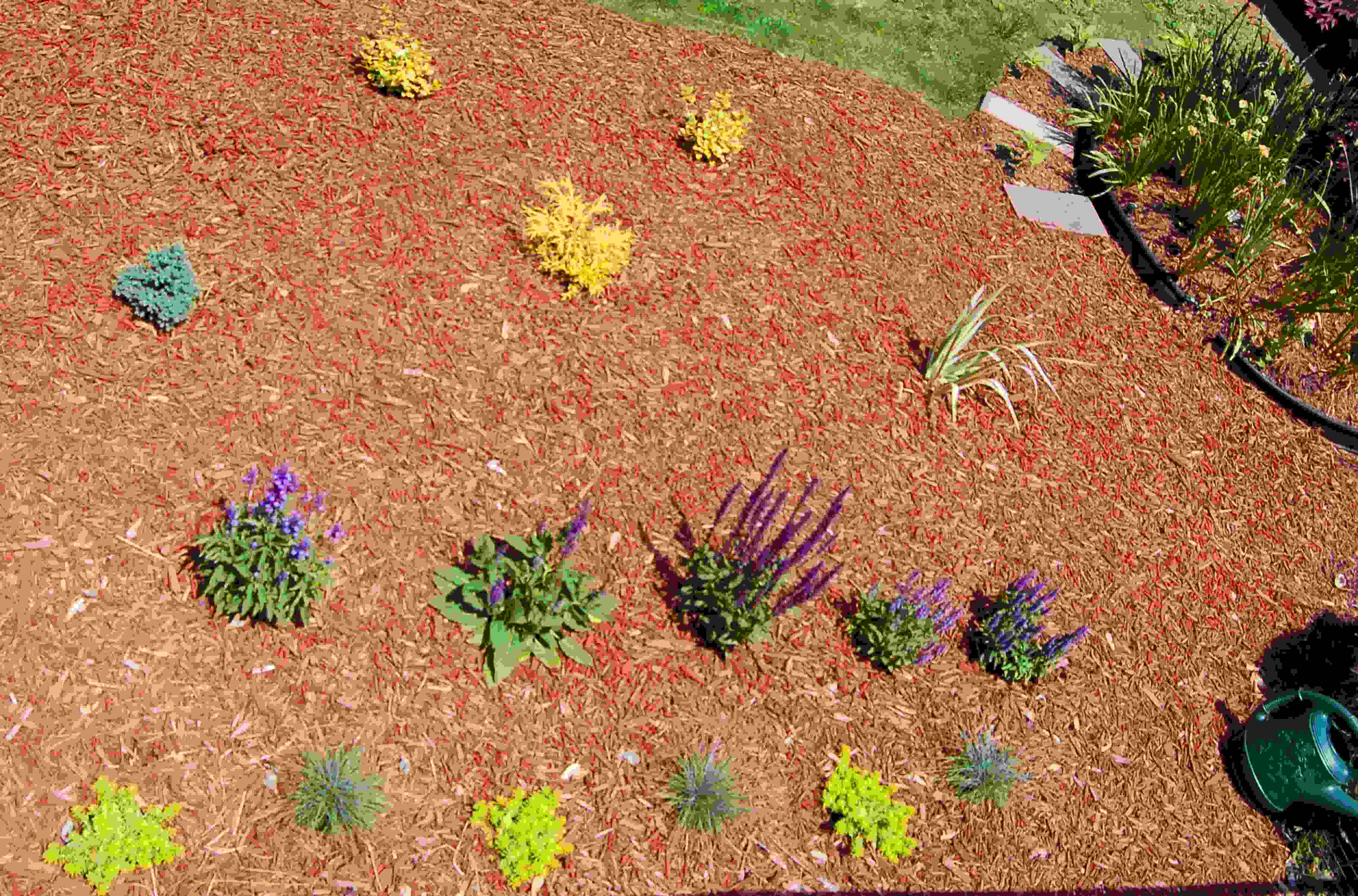 How To Group Plants In Your Landscaping